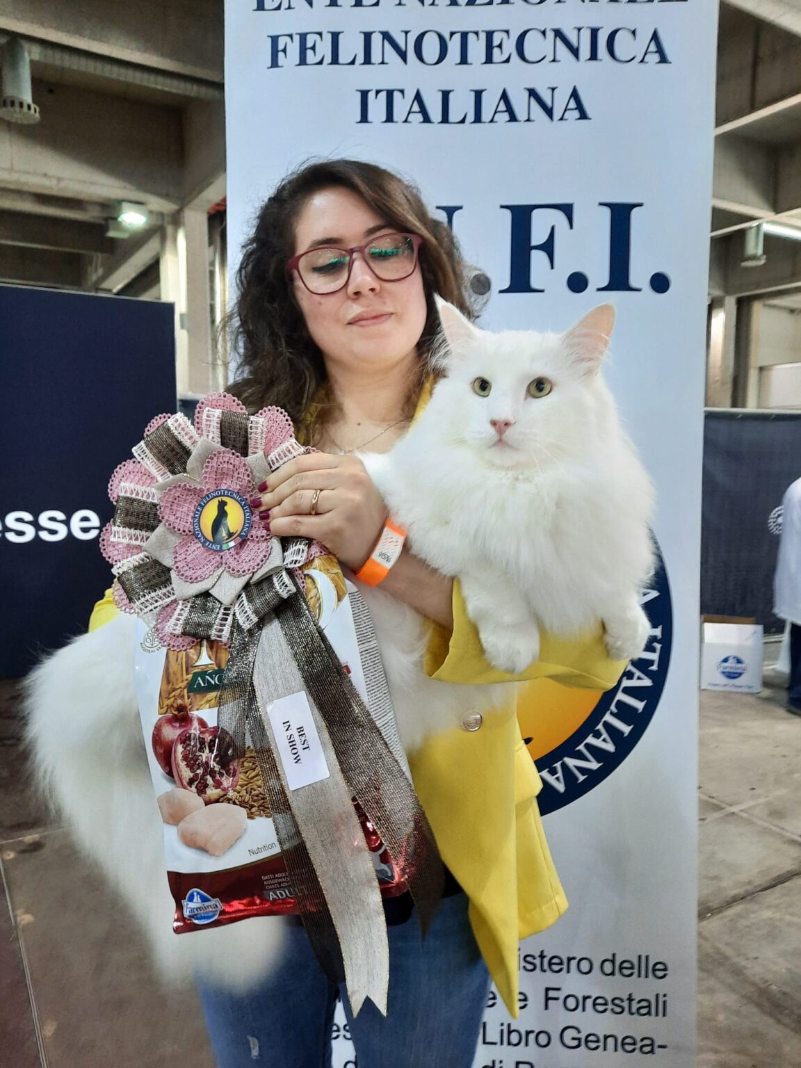 Poldo Ancora Il Gatto Pi Bello Del Mondo Insieme A Leonardo