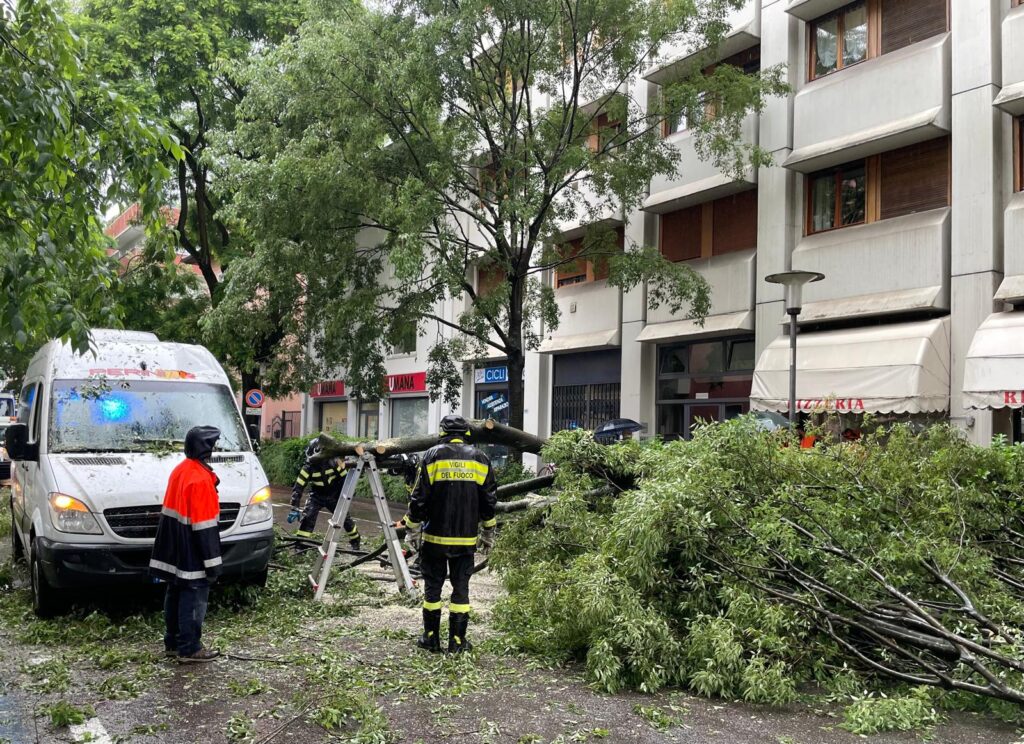 Albero caduto in Corso Buonarroti (Foto de Il T Quotidiano)