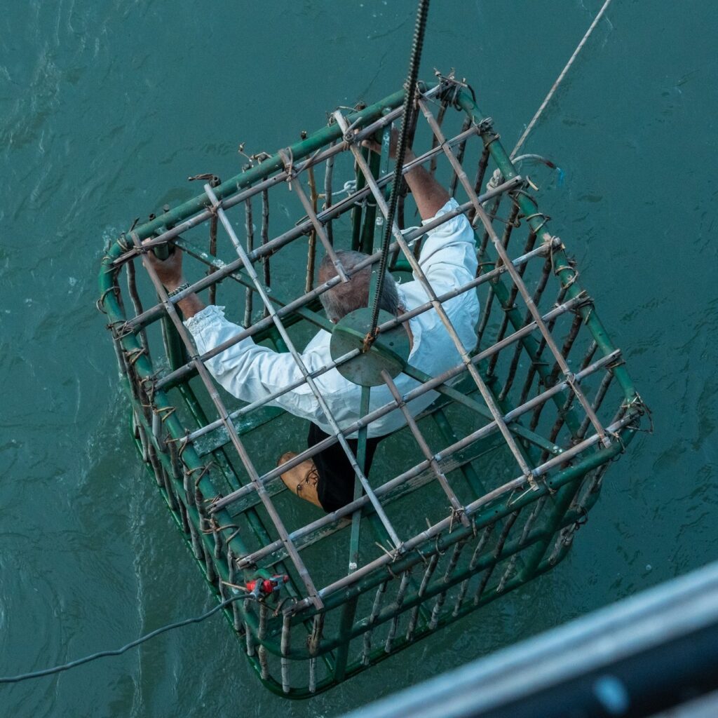 La gabbia della tonca (Foto di Feste Vigiliane - Trento)