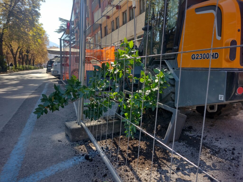 Un vaso di fiori gettato dentro ad un cantiere in via S. Croce