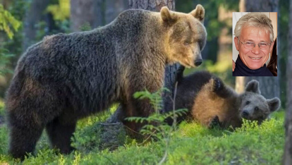 Il veterinario Rossi e gli orsi